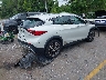 SJKCH5CR4HA****** Salvage and Wrecked 2017 Infiniti QX30 in Florida State