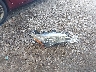 4T1BF1FK2HU****** Destrozados 2017 Toyota Camry en Estado de Georgia