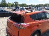 JTMBFREV8GJ****** Usados y Reparables 2016 Toyota RAV4 en Southern New Jersey