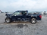 1FTFW1E87NK****** Salvage 2022 Ford F-150