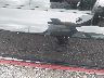 1ZVFT80N675****** Salvamento y Reparables 2007 Ford Mustang en Estado de Carolina del Sur