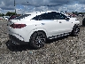 4JGFD6BB6NA****** Salvage and Wrecked 2022 Mercedes-Benz GLE-Class in Georgia State