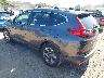 5J6RW1H59KA****** Salvage and Repairable 2019 Honda CR-V in Knoxville