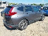 5J6RW1H59KA****** Salvage and Wrecked 2019 Honda CR-V in Tennessee State