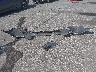 2HKYF18476H****** Destrozados 2006 Honda Pilot en Estado de Indiana
