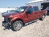 1FTFW1ET2EK****** Usados y Reparables 2014 Ford F-150 en Billings
