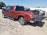 1FTFW1ET2EK****** Salvamento y Reparables 2014 Ford F-150 en Billings