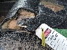 1FD0W4HT7CE****** Reparables 2012 Ford F-450 en Specialty Division