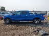 1FTFW1ETXDK****** Salvage 2013 Ford F-150