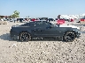 1ZVBP8AM1E5****** Usados 2014 Ford Mustang en Estado de Texas