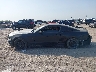 1ZVBP8AM1E5****** Reparables 2014 Ford Mustang en Estado de Texas