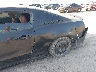 1ZVBP8AM1E5****** Salvamento y Reparables 2014 Ford Mustang en Estado de Texas