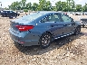 5NPE34AF7FH****** Salvamento y Destrozados 2015 Hyundai Sonata en Estado de Ohio