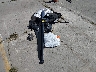 4T3RWRFV4PU****** Wrecked 2023 Toyota RAV4 Hybrid in California State