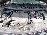 1FM5K8GT7HG****** Repairable 2017 Ford Explorer in New Castle