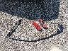 JTHBK1EG8A2****** Wrecked 2010 Lexus ES 350 in Ohio State