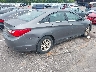 5NPEB4AC7BH****** Salvage and Wrecked 2011 Hyundai Sonata in Tennessee State