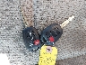 4T1BF1FK8EU****** Salvamento 2014 Toyota Camry en Estado de Michigan