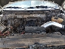 1FTFW1EF3DK****** Repairable 2013 Ford F-150 in Springfield