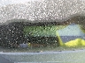 1FAFP34Z23W****** Destrozados 2003 Ford Focus en Estado de Texas