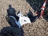 5NPEL4JAXMH****** Wrecked 2021 Hyundai Sonata in Kansas State