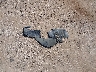 1YVHP82A595****** Wrecked 2009 Mazda 6 in Texas State