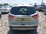 1FMCU0GXXEU****** Destrozados 2014 Ford Escape