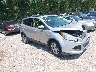 1FMCU0GXXEU****** Salvamento y Destrozados 2014 Ford Escape en Indianapolis