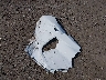 2T3P1RFV1MC****** Wrecked 2021 Toyota RAV4 in Washington State