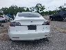 5YJ3E1EB1NF****** Wrecked 2022 Tesla Model 3