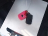 2T3DFREV7DW****** Repairable 2013 Toyota RAV4 in Salt Lake City