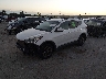 5NMZU3LB6HH****** Usados y Reparables 2017 Hyundai Santa Fe en Houston
