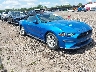 1FATP8UHXK5****** Salvamento y Destrozados 2019 Ford Mustang en Columbus