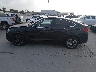 5UXXW3C5XF0****** Repairable 2015 BMW X4 in Texas State
