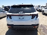 KM8JFCA11NU****** Wrecked 2022 Hyundai Tucson Hybrid