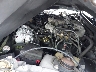 1FAFP4448YF****** Repairable 2000 Ford Mustang in Tampa