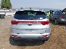 KNDPNCAC7H7****** Usados 2017 Kia Sportage