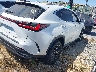 JTJADCAZ4R2****** Salvage and Wrecked 2024 Lexus NX in California State