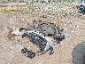 1FM5K8AR8GG****** Wrecked 2016 Ford Utility Police Interceptor in Washington State