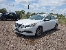 5NPE24AF1GH****** Used and Repairable 2016 Hyundai Sonata in McAllen