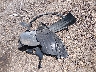 2HKRW1H27MH****** Wrecked 2021 Honda CR-V in Mississippi State