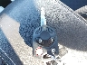 3FAHP0HA3BR****** Salvamento 2011 Ford Fusion en Estado de Michigan