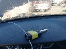 1HGCR2F3XDA****** Salvage 2013 Honda Accord in Ohio State