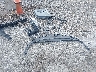 1G1145S39GU****** Destrozados 2016 Chevrolet Impala en Estado de Illinois