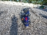JH2RC50077M****** Salvage and Repairable 2007 Honda VT750 (Shadow Aero 750) in Florida State