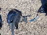 JM3KFBDM8L0****** Wrecked 2020 Mazda CX-5 in Massachusetts State
