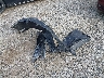 4S3BNBE65F3****** Wrecked 2015 Subaru Legacy in Ohio State