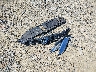19XFC1F76GE****** Wrecked 2016 Honda Civic in Virginia State
