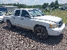 1D7HE48N65S****** Salvage and Wrecked 2005 Dodge Dakota in Greenville