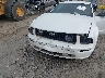 1ZVFT82H565****** Reparables 2006 Ford Mustang